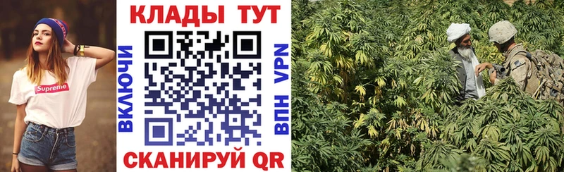 Как найти закладки Новодвинск А ПВП  МАРИХУАНА  COCAIN  Меф мяу мяу  Гашиш 
