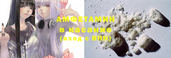 сатива Балахна