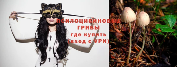 a pvp Балабаново