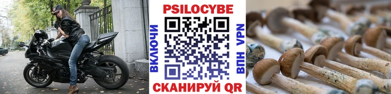 Галлюциногенные грибы Magic Shrooms  купить закладку  Новодвинск 