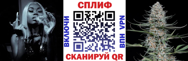 Бошки Шишки план  Новодвинск 